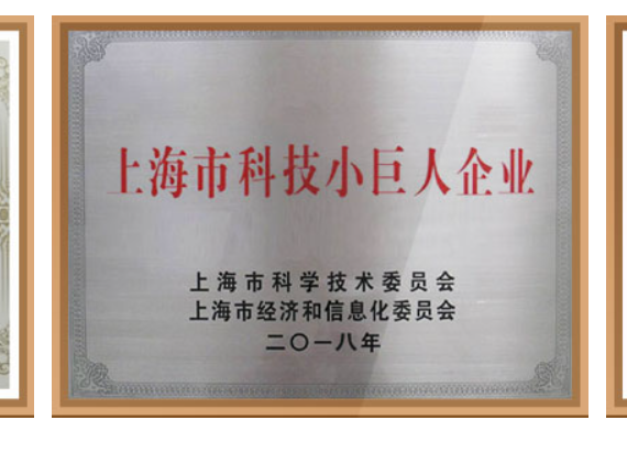 Shanghai Science & Technology Little Giant Enterprise